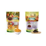15514662125 hanjin kit 2 frutas desidratadas manga 100g caju 200g sem adicao de acuca natural nordes.jpg